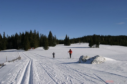 Schneeschuhwandern (20090104 0035)